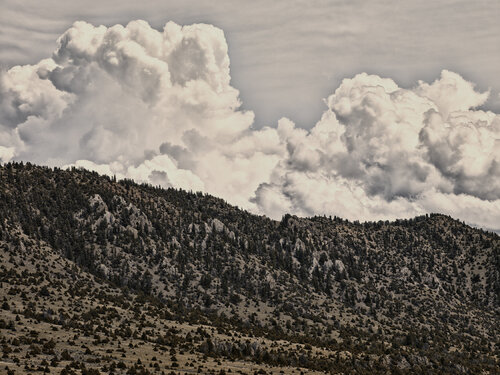 Trail Creek,  Montana by Jeff Corwin, Photography for Sale on Singulart