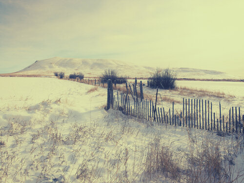 Rapelji Montana von Jeff Corwin, Fotografie kaufen auf Singulart
