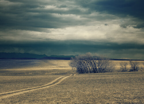 Harrison Montana par Jeff Corwin, Photographie en vente sur Singulart