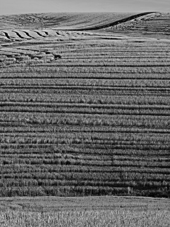 Ritzville, Washington Jeff Corwin