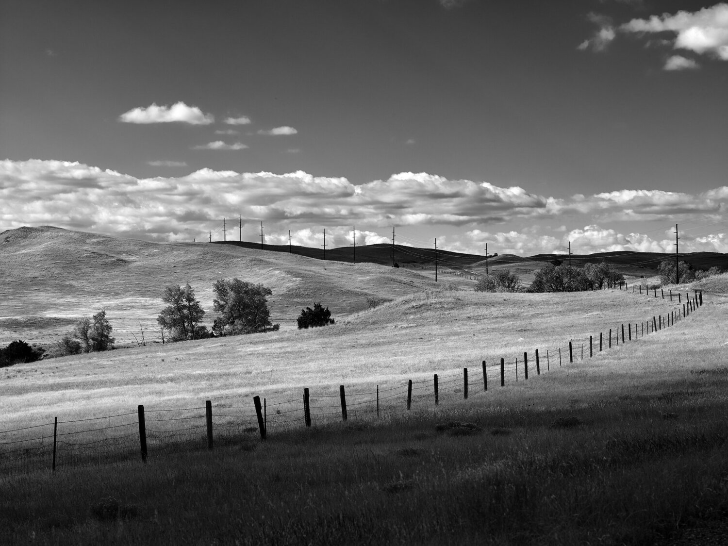 Livingston Montana Jeff Corwin