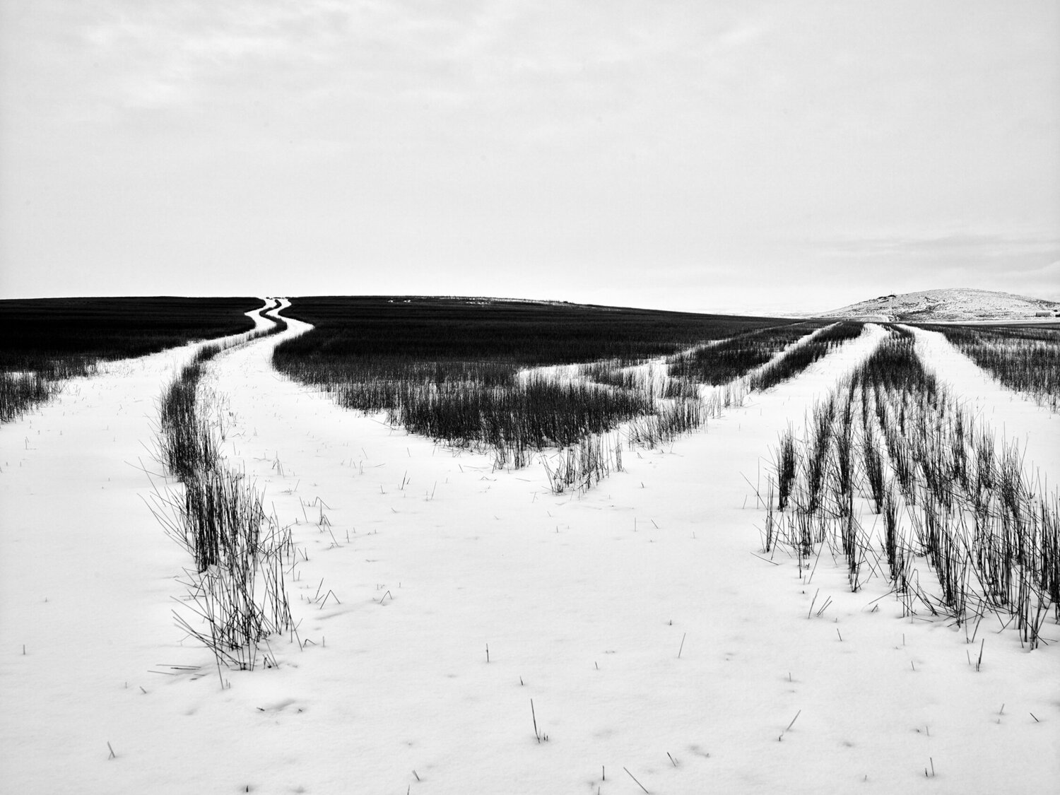 Three Forks Montana Jeff Corwin