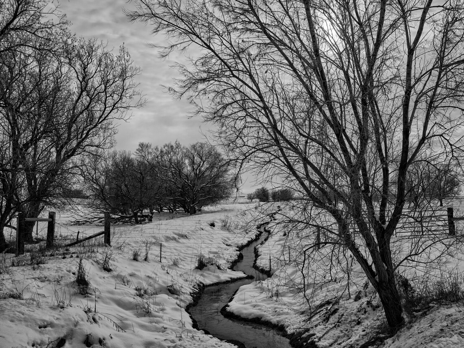 Manhattan Montana Jeff Corwin