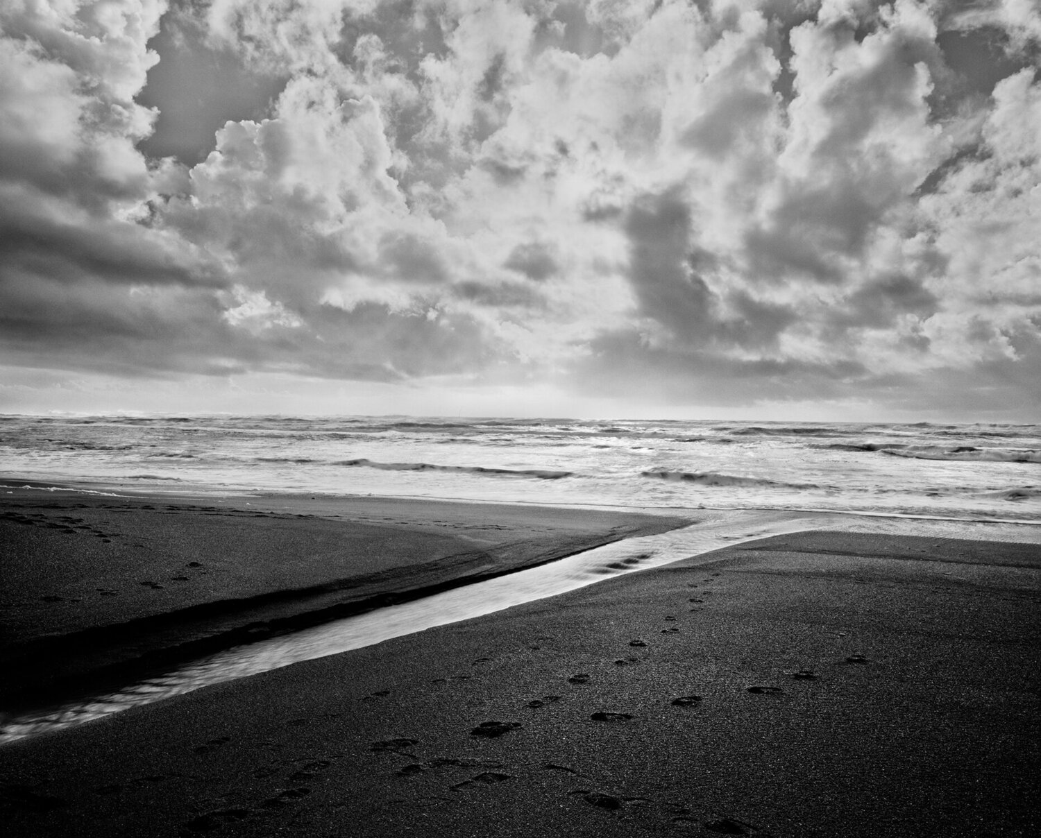 Kalaloch, Washington Jeff Corwin