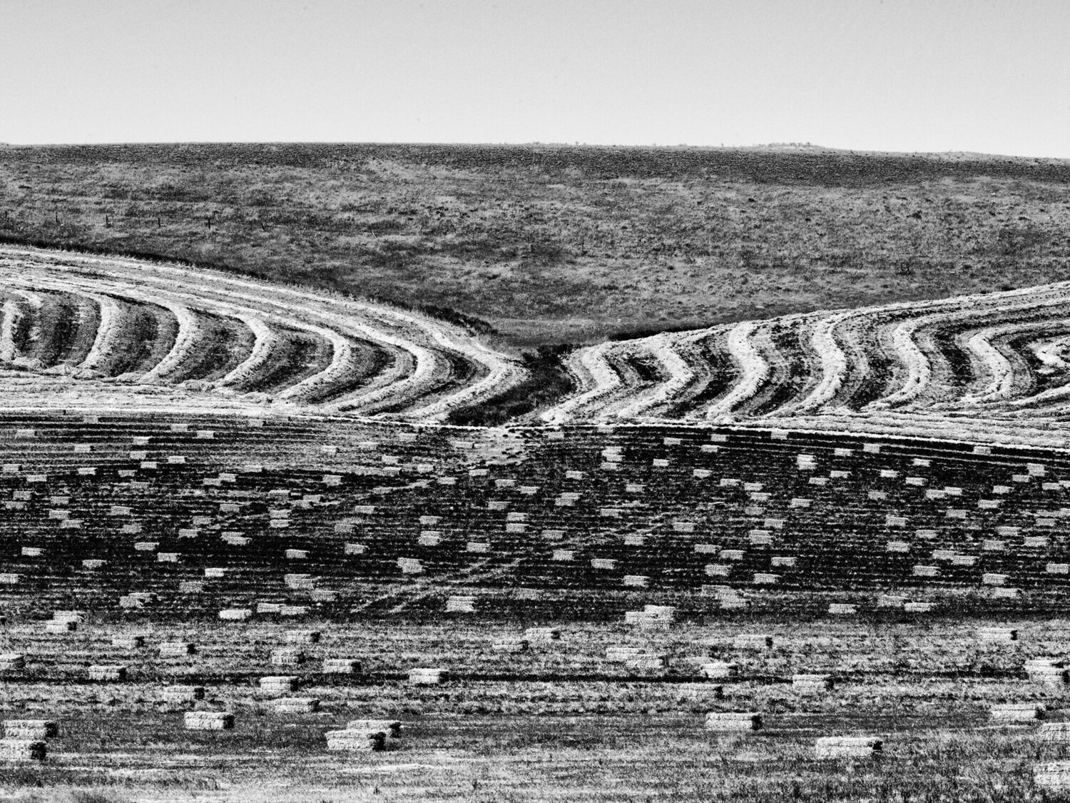 Goldendale, Washington Jeff Corwin
