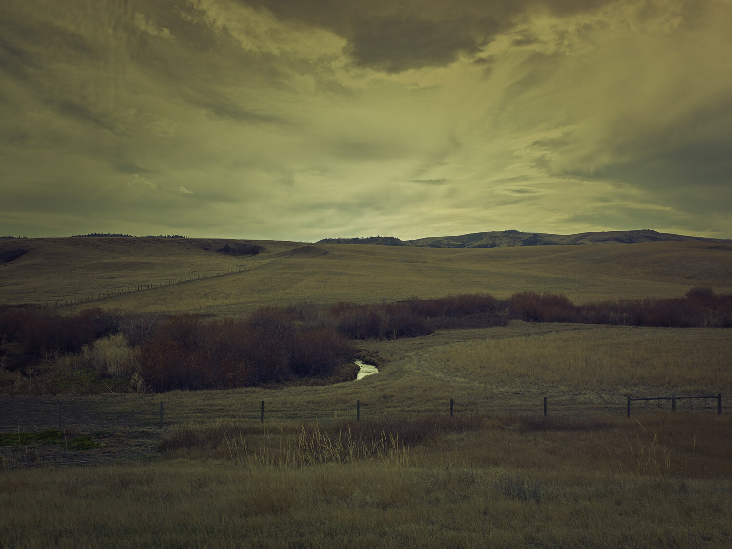 Norris Road Montana Jeff Corwin