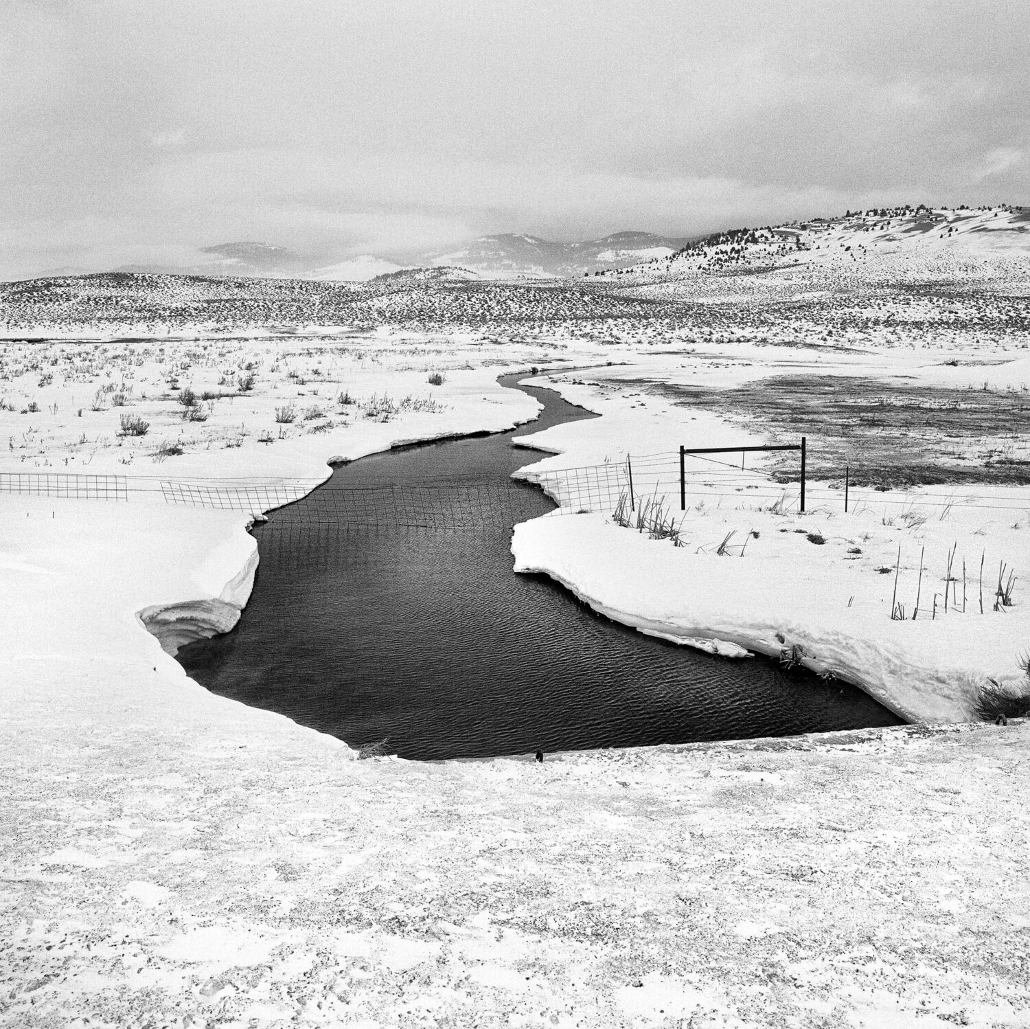 Ringling Montana Jeff Corwin