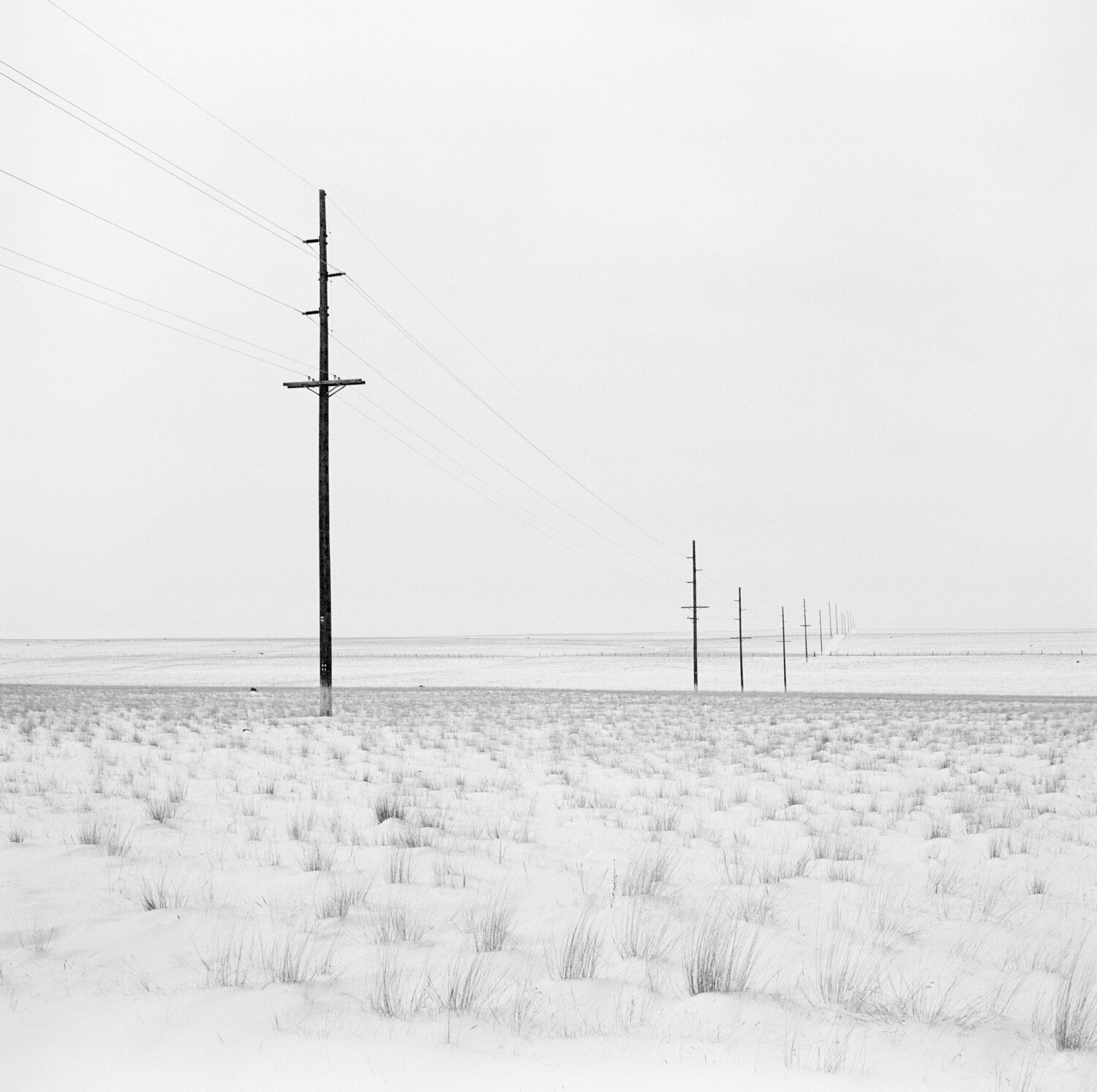 Odessa, Washington Jeff Corwin