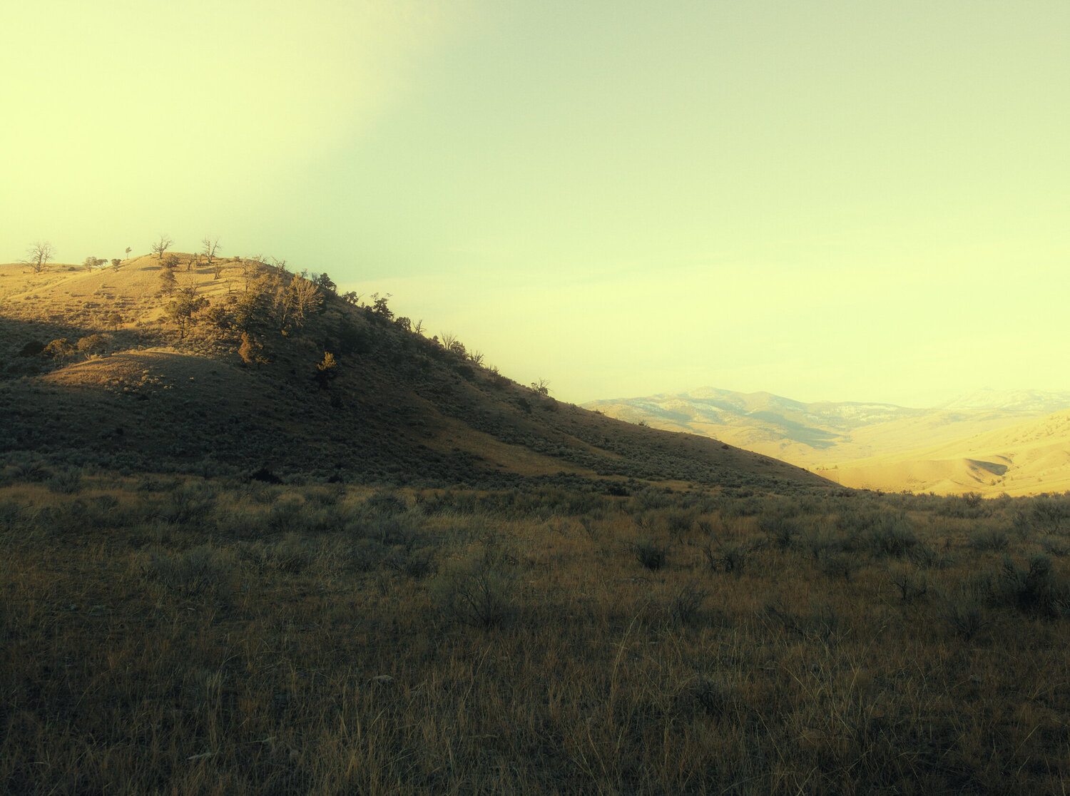 Gardiner Montana Jeff Corwin