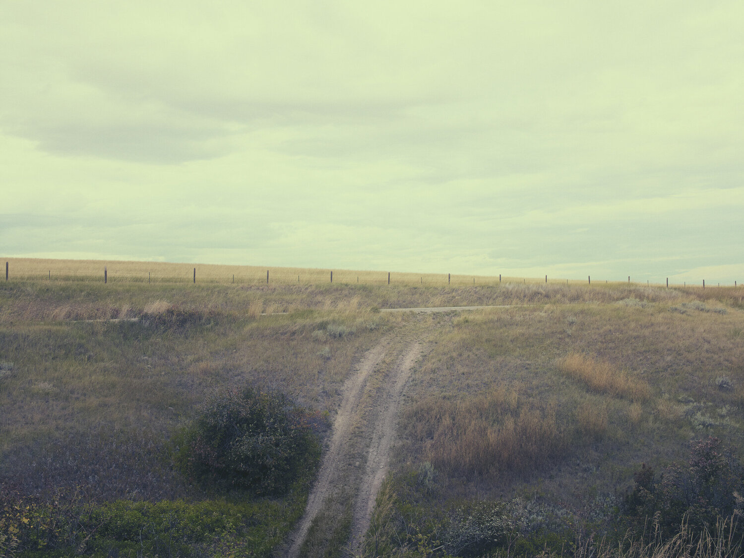 Anceney Montana Jeff Corwin