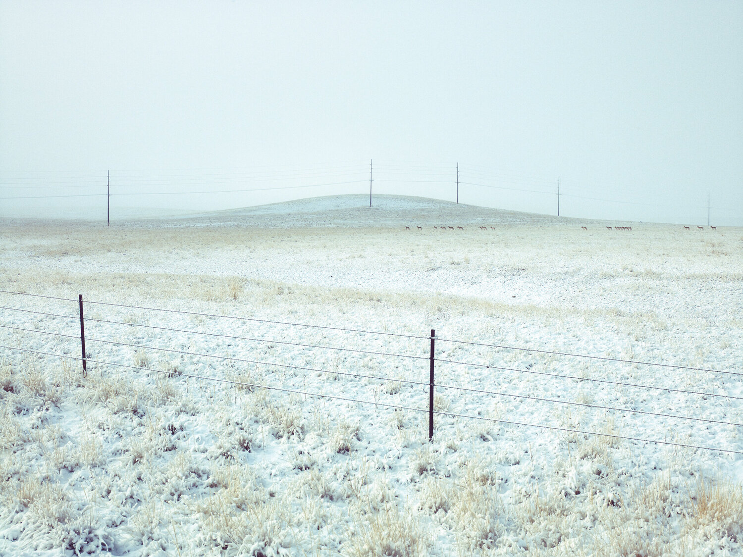 Livingston Montana Jeff Corwin