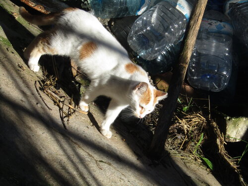 66 obras de fotografia venda a unidades- 2-B dezembro de 2024 - di Celso PREI, Fotografia in vendita su Singulart