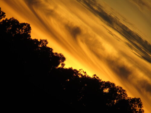 5 fotografias digital de um por-de-sol  - venda a unidade by Celso PREI, Photography for Sale on Singulart