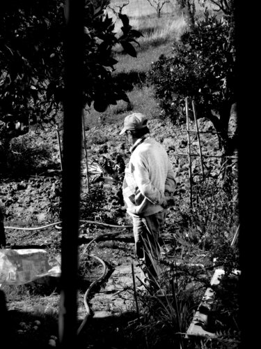 pai trabalho PRETO E BRANCO  - venda em formato digital by Celso PREI, Photography for Sale on Singulart