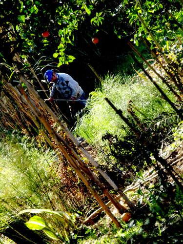 o homem rural multifacetado a que me ensinou  a ser o trabalhador na artes e génio. pai trabalho 2 cores - venda em formato digital von Celso PREI, Fotografie kaufen auf Singulart