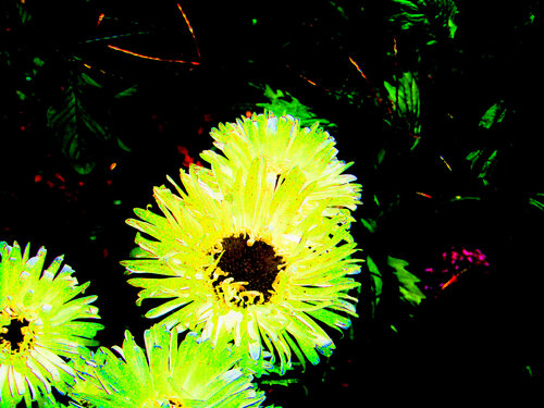 IMG_4123 - AB .jpg van Celso PREI, Fotografie te koop op Singulart