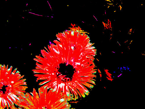IMG_4123 - ABCD1111 van Celso PREI, Fotografie te koop op Singulart