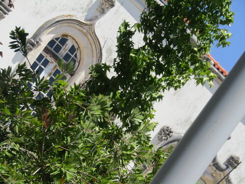 fotografia 09-07-2023  - janela do olhamento quadrado van Celso PREI, Fotografie te koop op Singulart