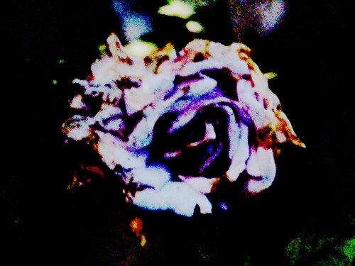 IMG_5289b van Celso PREI, Fotografie te koop op Singulart