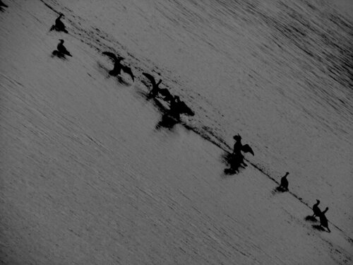 IMG_5877 40x30 pb by Celso PREI, 사진 for Sale on Singulart