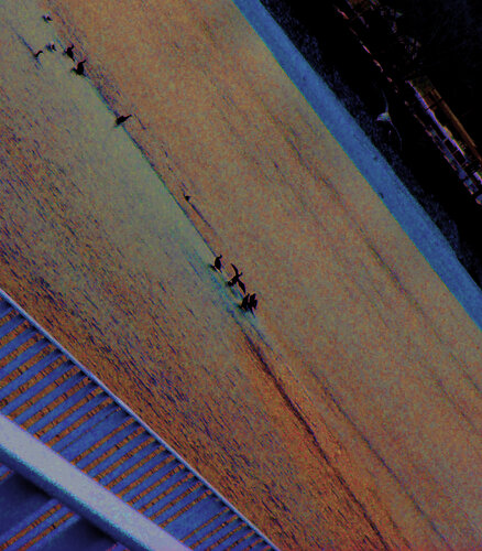 IMG_5879 35x40  b1 par Celso PREI, Photographie en vente sur Singulart