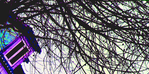 IMG_5886 tRB 20x40 a1 di Celso PREI, Fotografia in vendita su Singulart