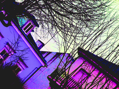IMG_5886 tRB 30x40 b1 van Celso PREI, Fotografie te koop op Singulart