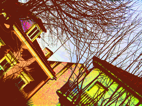 IMG_5886 tRB 30x40 b2 par Celso PREI, Photographie en vente sur Singulart