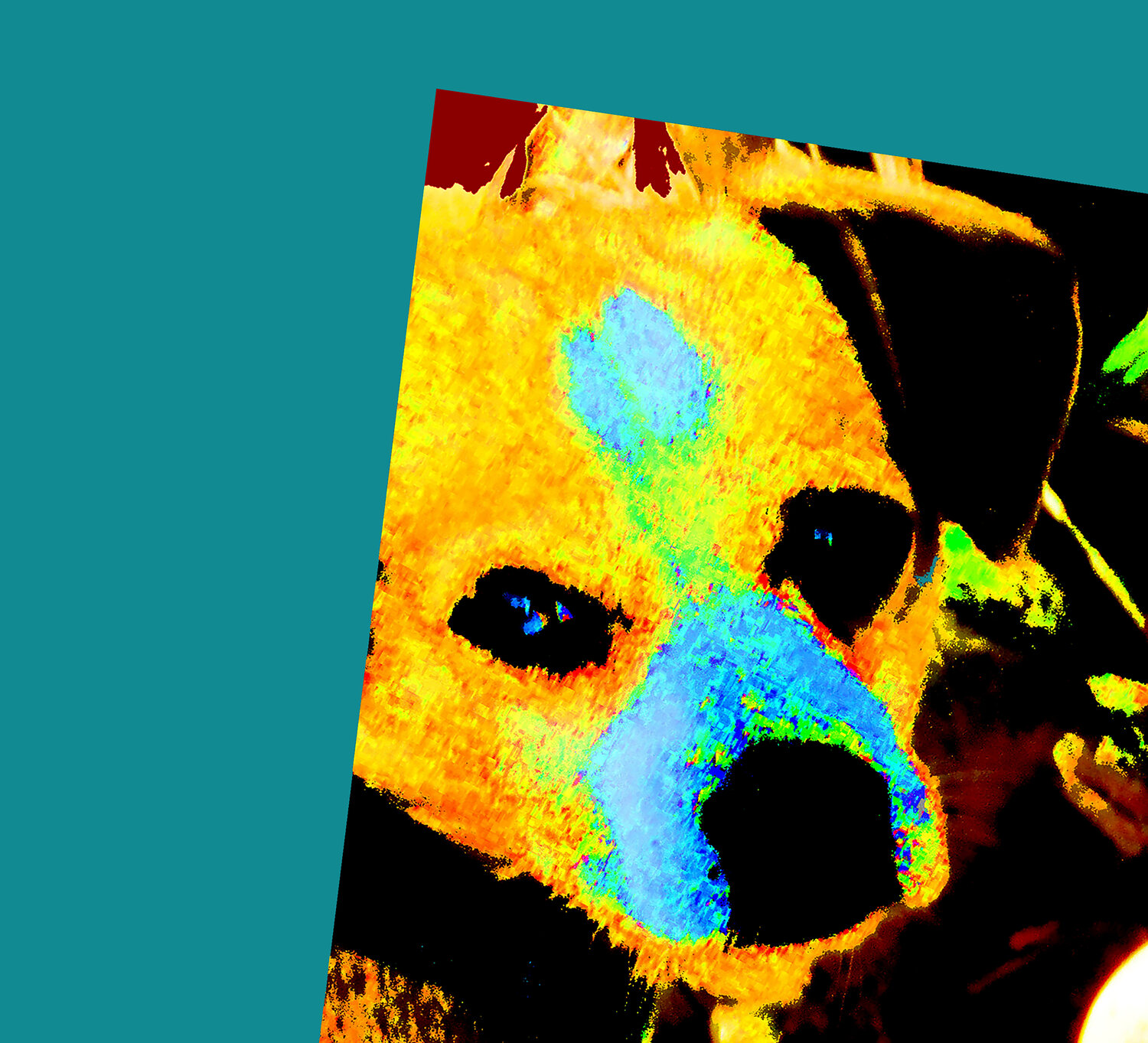 caoo que late reco 44x40 Celso PREI