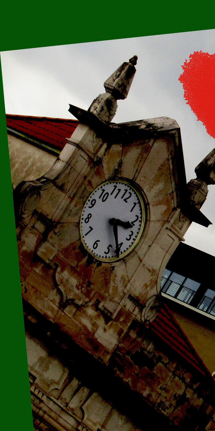 IMG_5872 20x40 bv Celso PREI