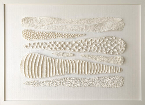 Herbarium Album. Folium I. Tactile Contemplation Piece de Svetlana Grigoryeva, Escultura a la venta en Singulart