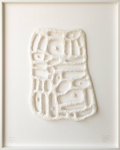 Maturatio Lapillorum Sensibilium | Folium I | Herbarium Imaginarium de Svetlana Grigoryeva, Escultura a la venta en Singulart