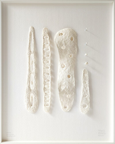 Maturatio Lapillorum Sensibilium | Folium II | Herbarium Imaginarium de Svetlana Grigoryeva, Escultura a la venta en Singulart