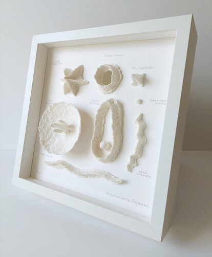 Dream Herbarium (Herbarium Onirica) by Svetlana Grigoryeva, Sculpture for Sale on Singulart