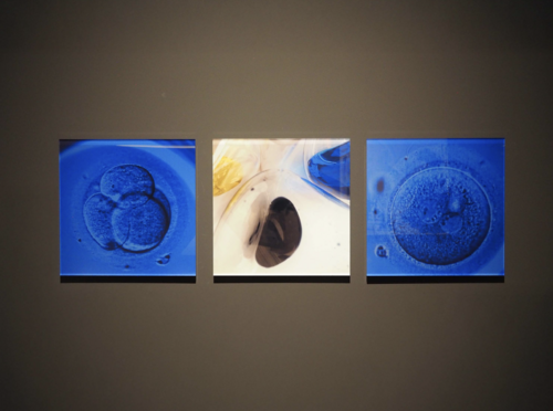 Kind of Blue von Karin Elisabeth Høie, Fotografie kaufen auf Singulart