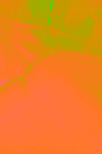 Floating Oranges I von Karin Elisabeth Høie, Fotografie kaufen auf Singulart