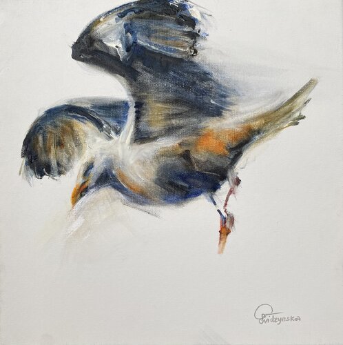 Seagull von Galyna Svidzynska, Malerei kaufen auf Singulart