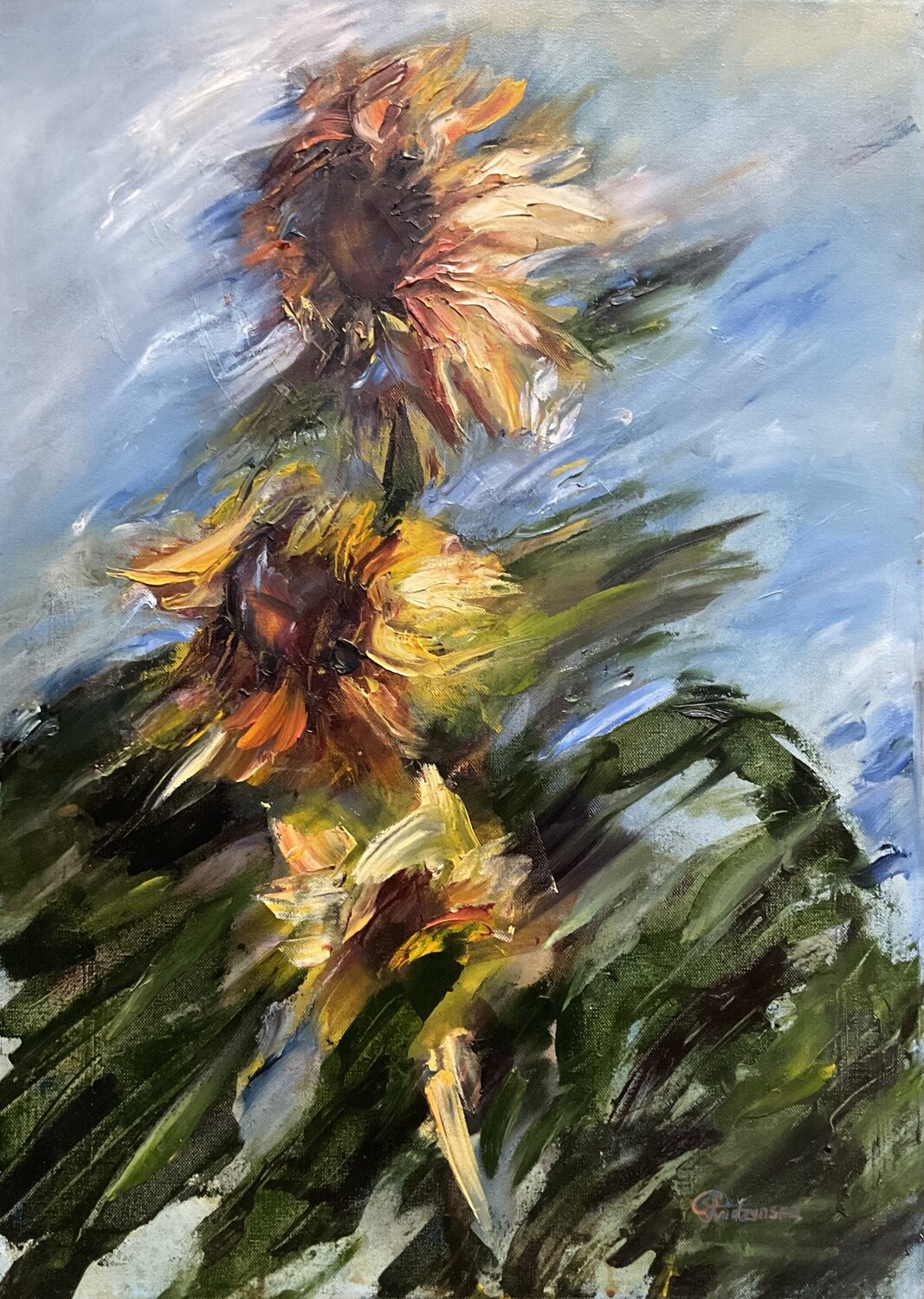 Sun splasches Galyna Svidzynska