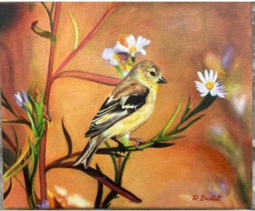 Chardonneret di Robert Drolet, Pittura in vendita su Singulart