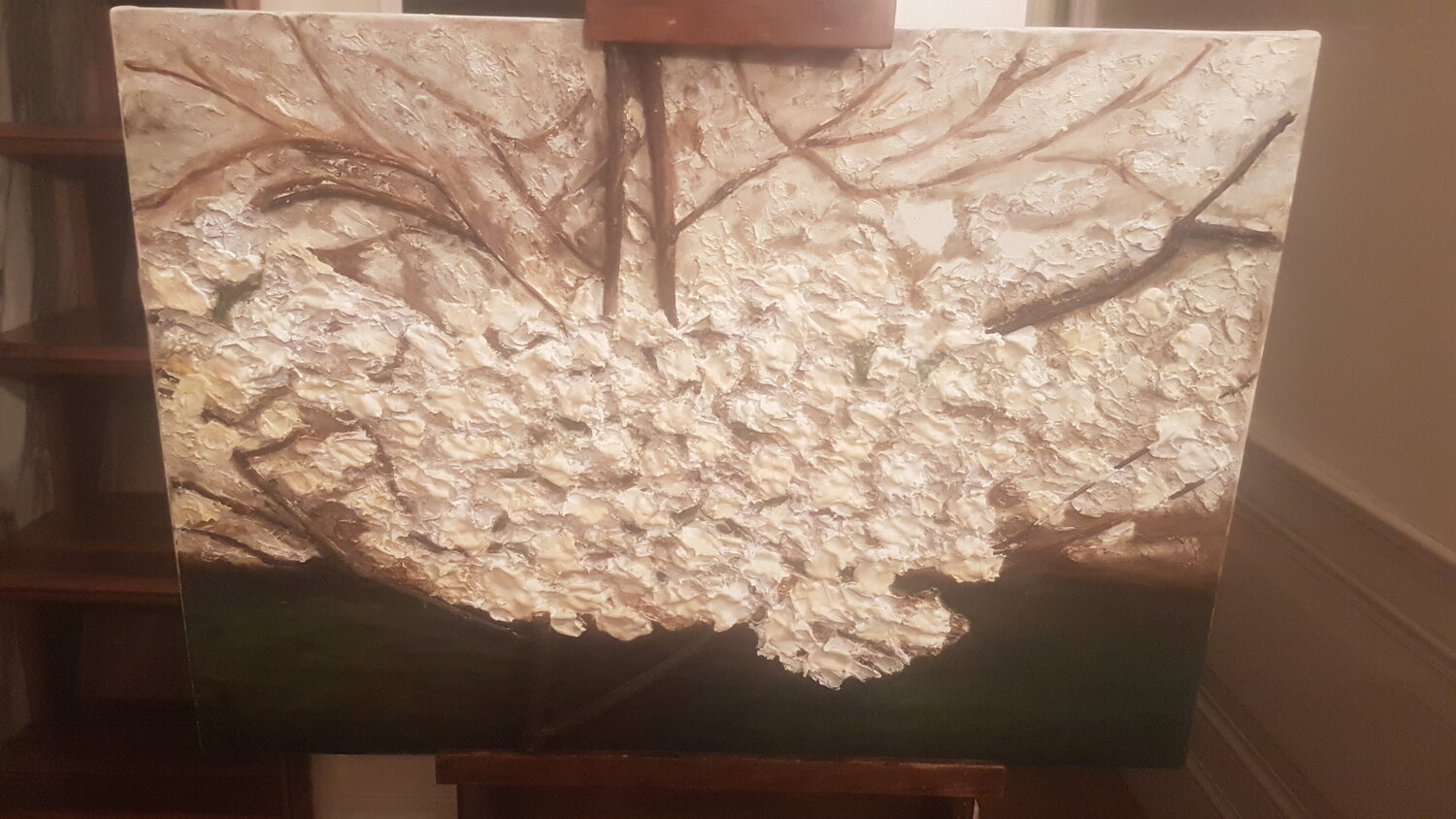 Magnolia in fiore Marian De Kort