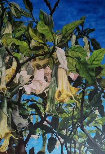 Angel trumpets by Lucio Domingo, 油畫 for Sale on Singulart