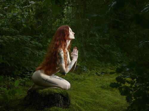 forest petition di Gerhard Großberger, Fotografia in vendita su Singulart