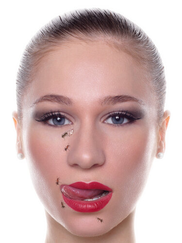 sought after by Gerhard Großberger, Photography for Sale on Singulart