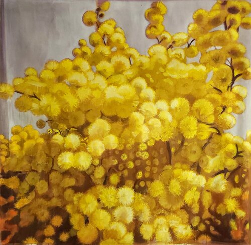 Mimosa Julia Spada