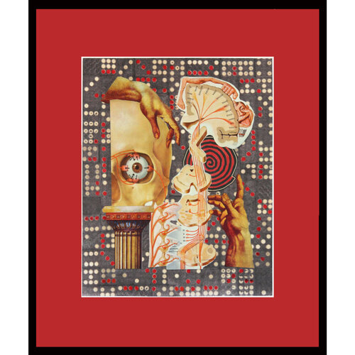 Wheel of Fortune, or The Genetic Crapshoot von Diane Keane, Werk auf Papier kaufen auf Singulart