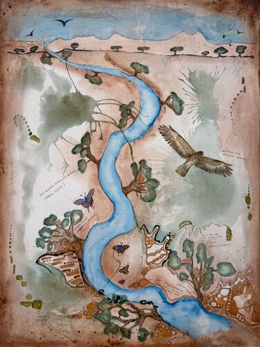 Whistling Kite at Geary River von Phillip Roös, Werk auf Papier kaufen auf Singulart