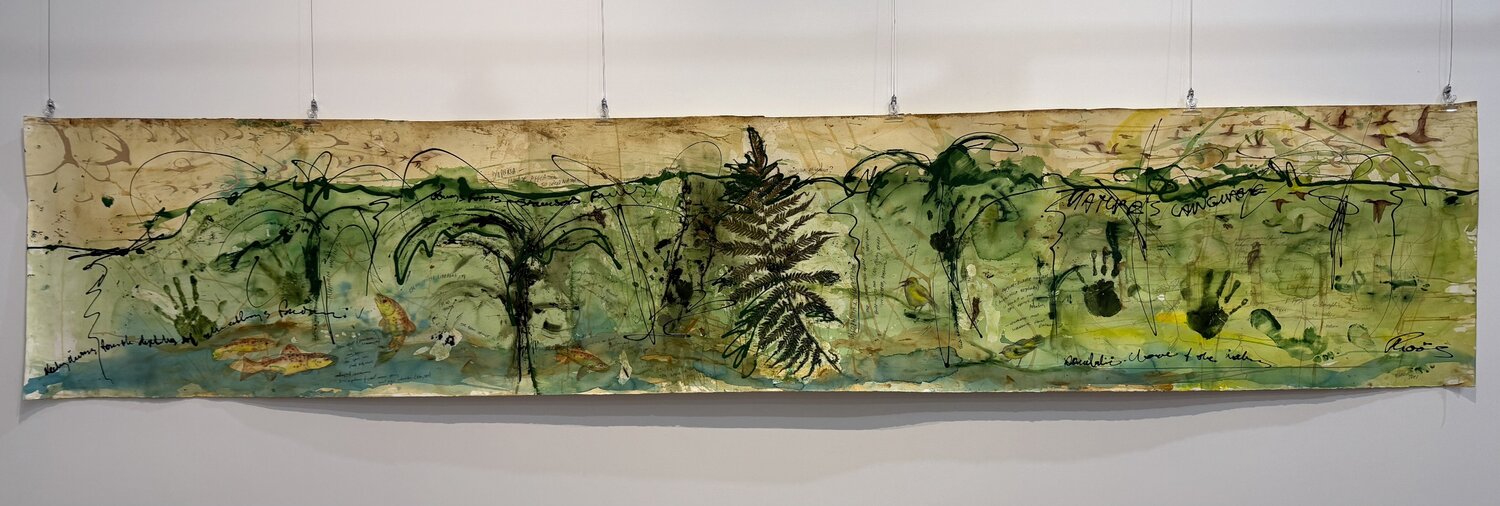 Forest Waters and Ferns Phillip Roös