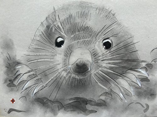 Maul Wurf by BENita mARTin, Work on Paper for Sale on Singulart