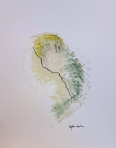 Aquarelle 20251207 van Stephane Vanhove, Werk op papier te koop op Singulart