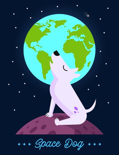 SPACE DOG > LED light display par Tino Nitschke, Édition en vente sur Singulart